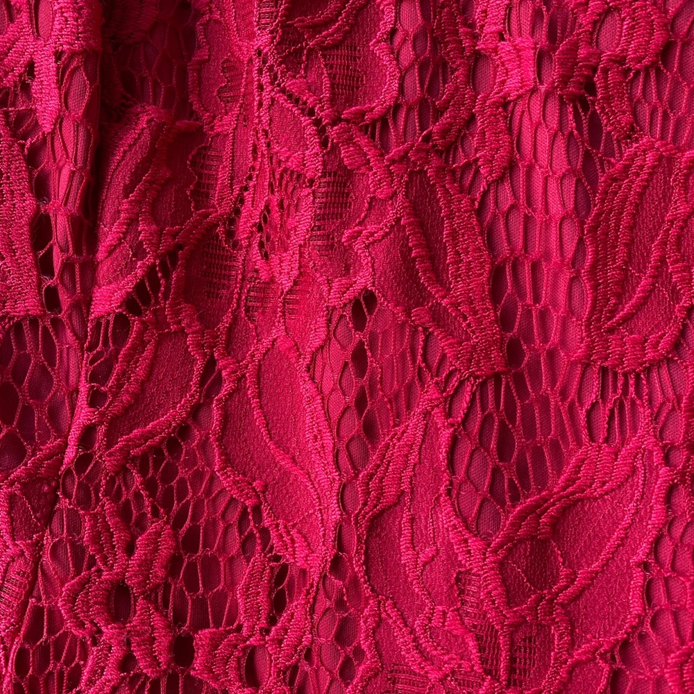 NWT Adrianna Papell Red Lace Petite Dress - Picture 4 of 7